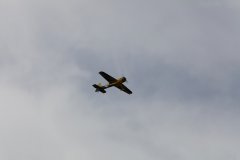 IMG_8176.jpg